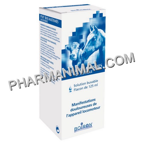 Rhumatyl Fl 125 Ml Sol Buv Homeopathie Pharmanimal Parapharmacie Pour Animaux